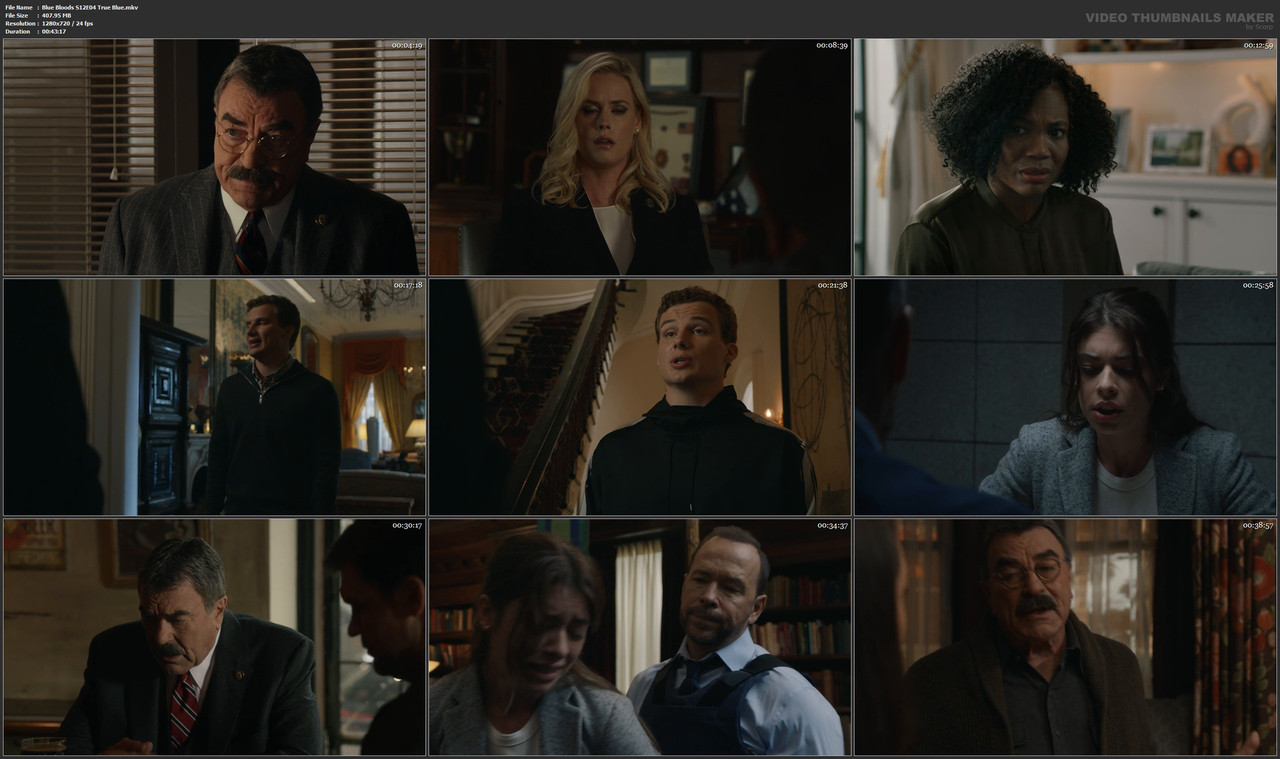 Blue Bloods S12E04 True Blue.mkv