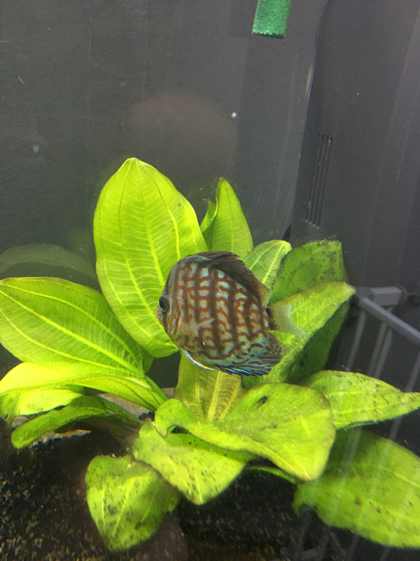 2CBA7FB7-F40F-4371-AF25-D527E3C0FFA3