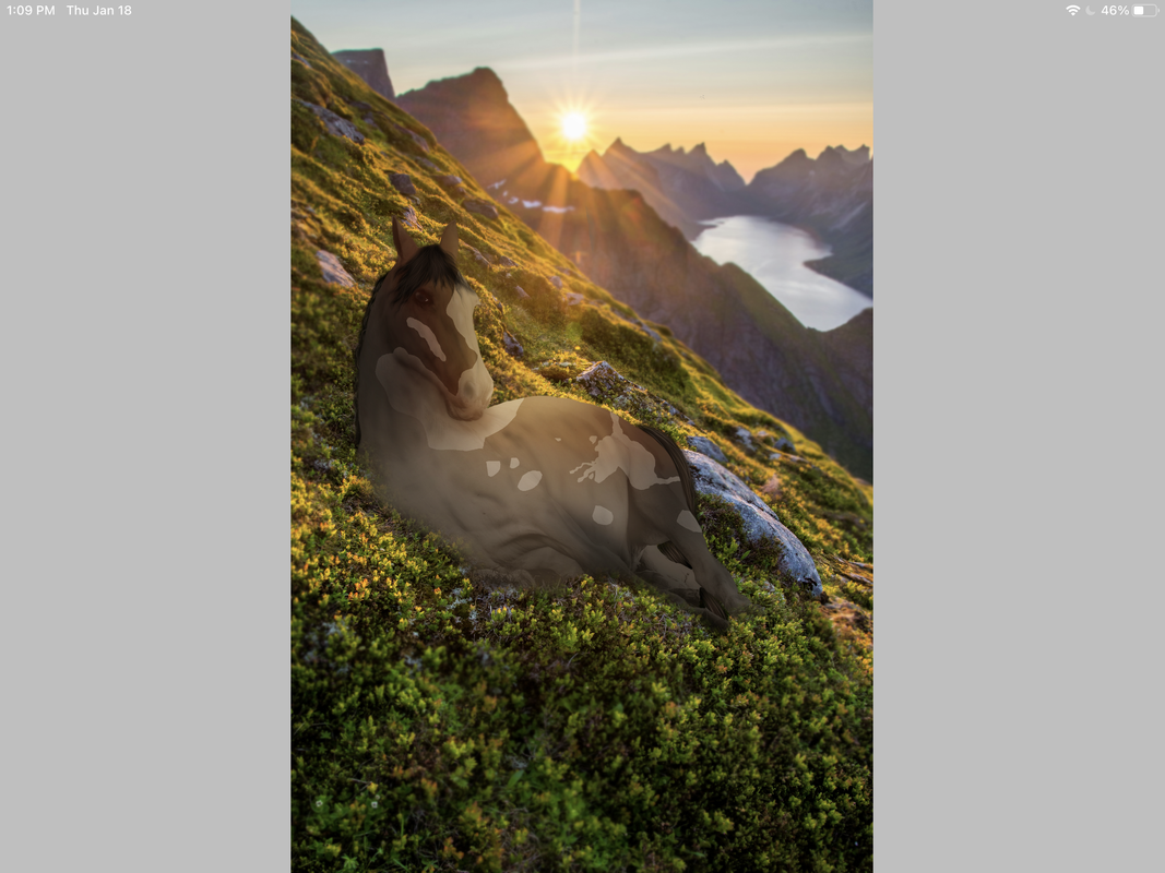 28E4570B-C34E-43BA-8116-81D99E457371