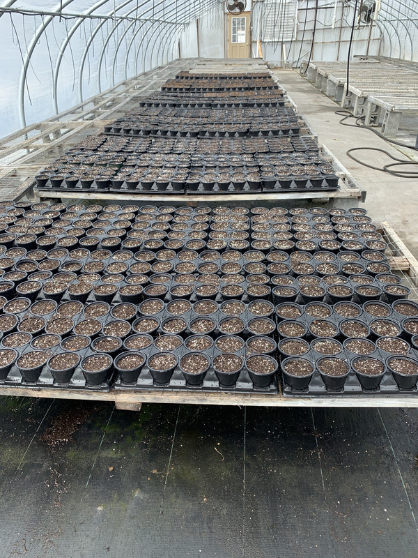 28494CC3-2480-40C5-94F8-41A5C2F04C03