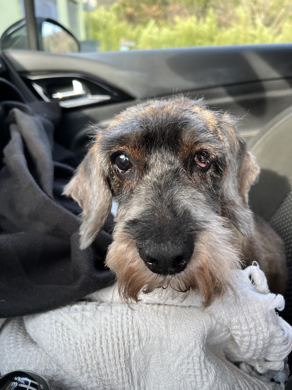 [Image: p-WRh-SVi5-RF-PYe-DTTTVHu-Q.jpg]