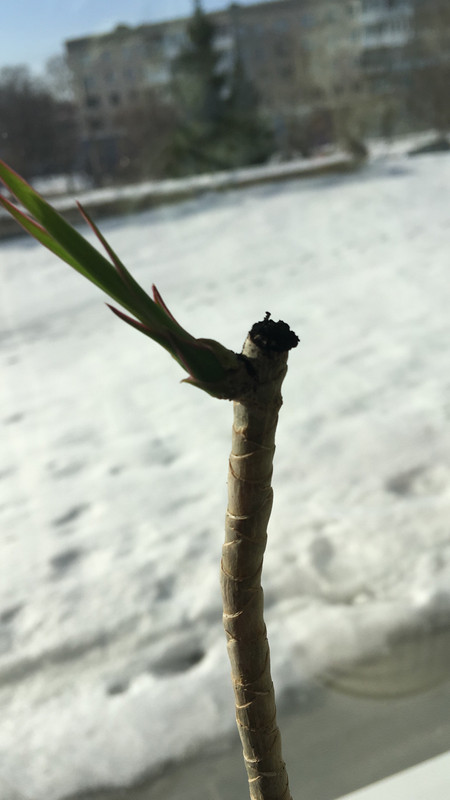 96AEBFC0-A618-478C-A509-714E49039F45