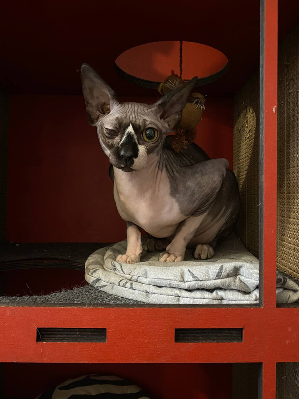 13DFB1E7-CF18-400B-BC6D-0E62826C53DC