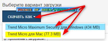 ✅Trend Micro Maximum Security Windows 2022-02-01-13h23-11.