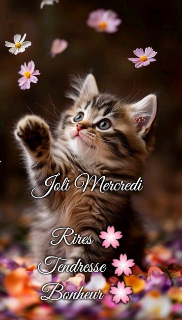 mercredi