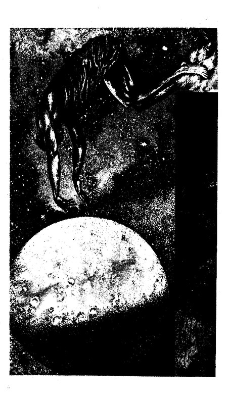 p0020