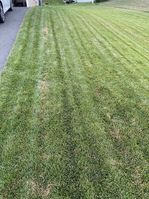 B120C8E6-1D7D-4263-A546-71D84E250F42