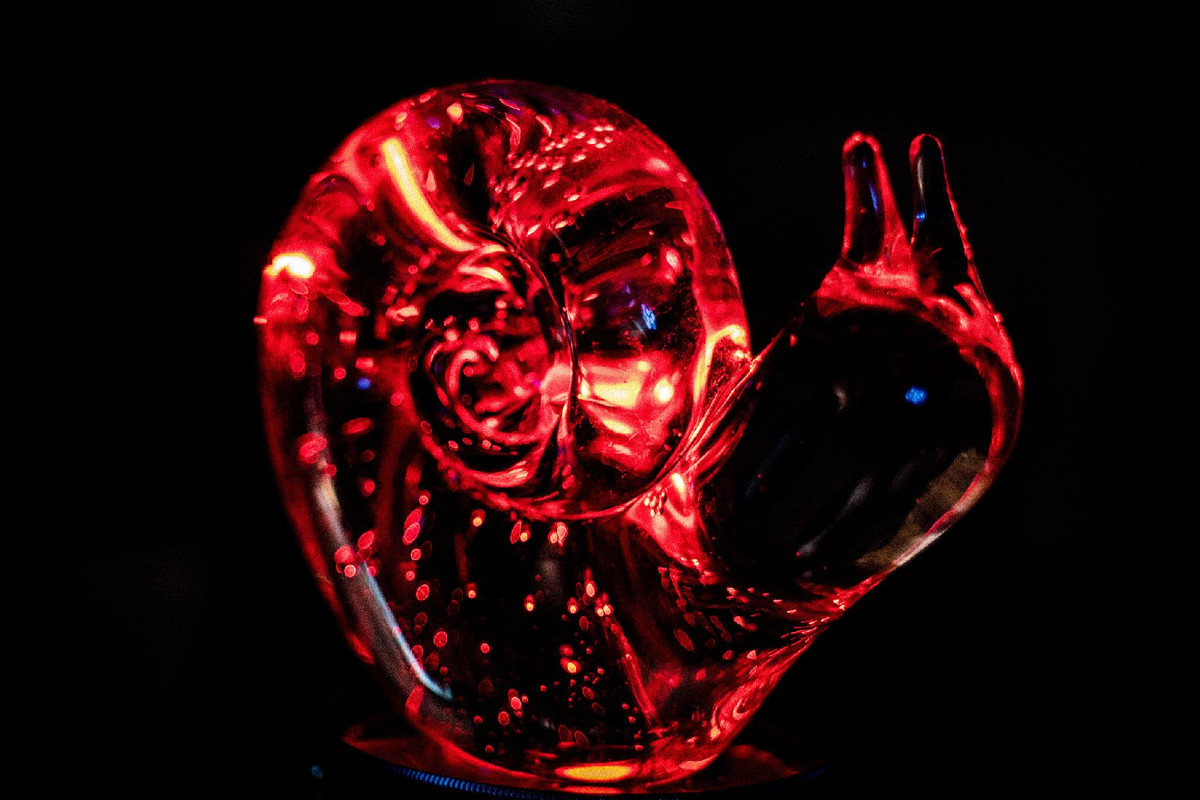 red-snail.jpg