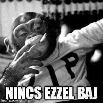 nincs-ezzel-baj.jpg