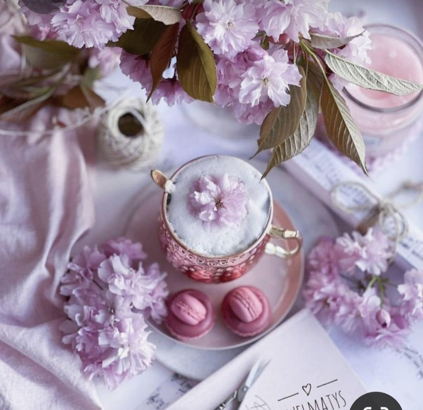 Screenshot_20230322_004149_Pinterest