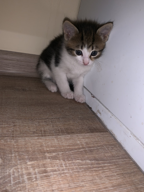 B80225EF-58C9-4B82-BCB3-8D79B62F3444