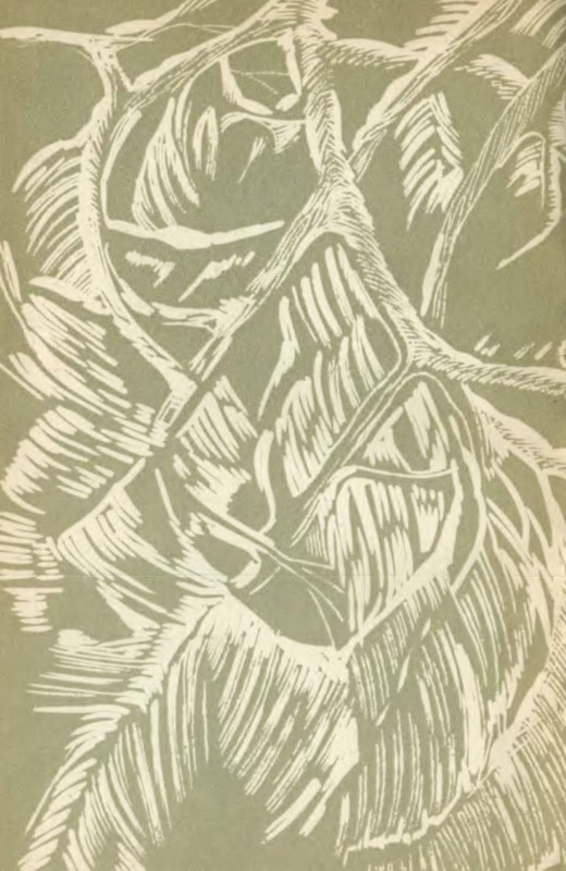 p0029