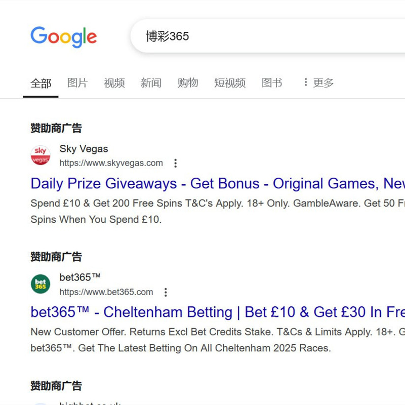 [广告投放案例 1]