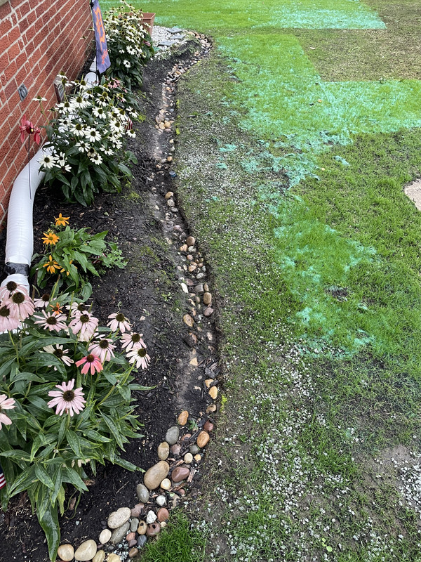 B6A9D24E-667F-42BC-AA6F-B2767067B6C3