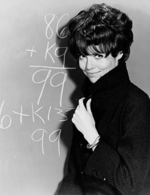 Barbara_Feldon_a71