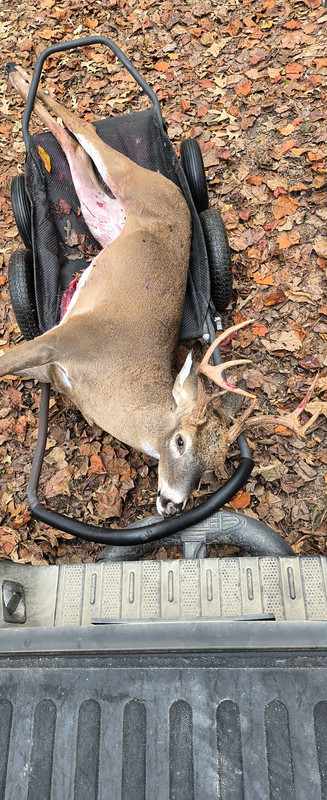 IMG_20241106_105615470_HDR