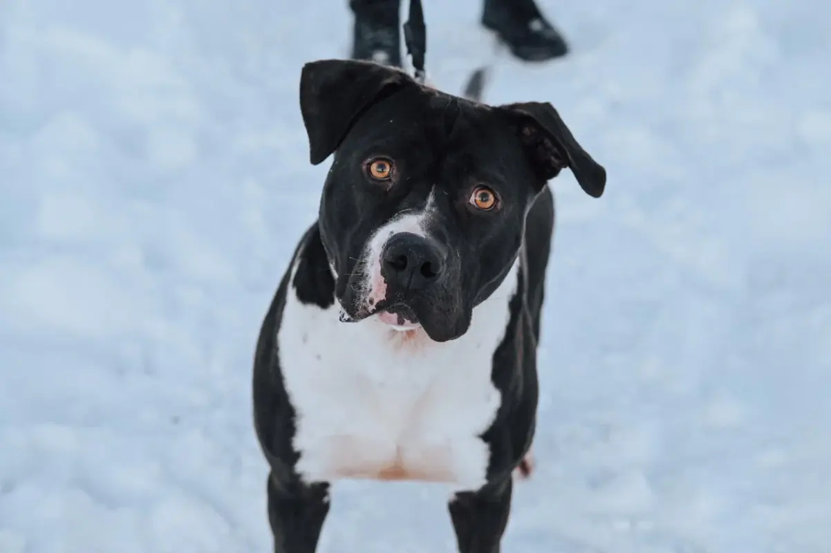 2022-01-13 18-11-09 (7)