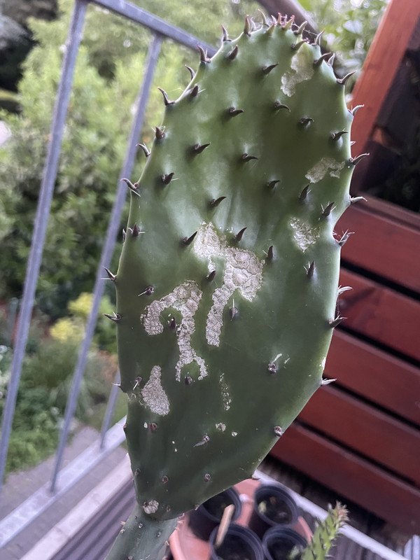 7E5DE82F-3419-4519-BFFD-1C29317ADCF9