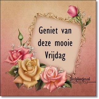 deelplaatjes-nl-anette-vrijdag-461529