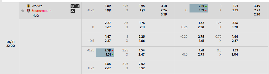 Tỷ lệ kèo Wolves vs Bournemouth
