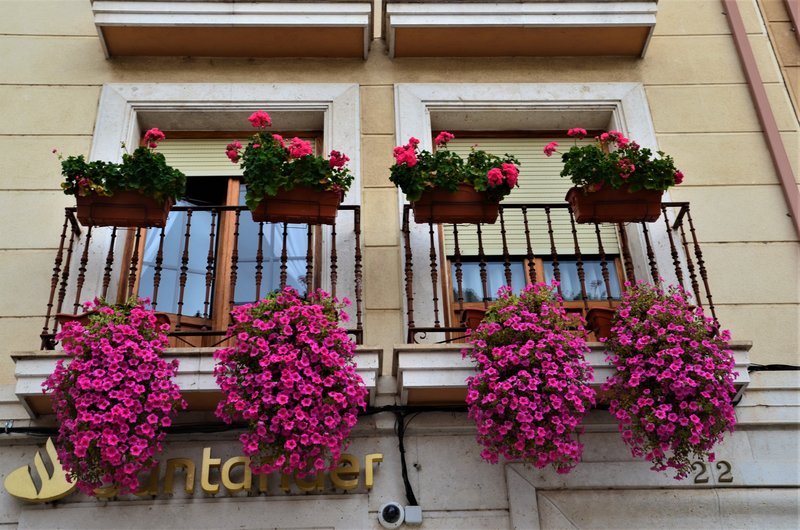 PEÑAFIEL-14-9-2022 - Valladolid y sus pueblos-2012/2016 (54)