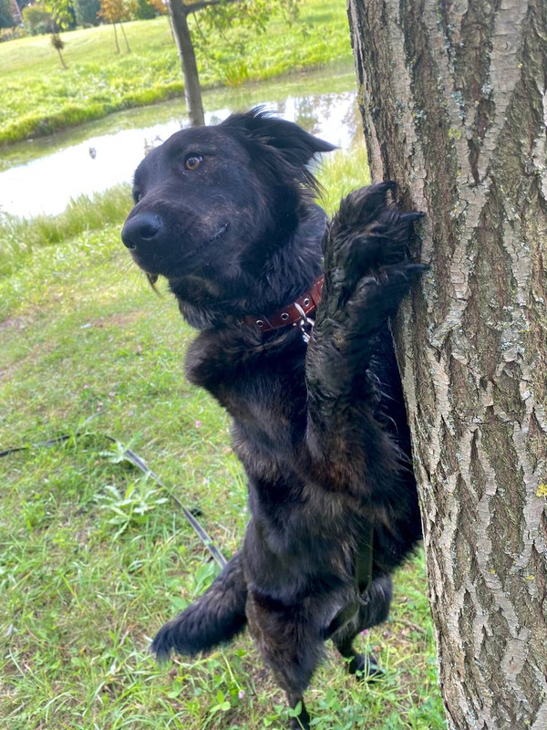 E428A502-233D-4FD2-9C42-8966BEACB992