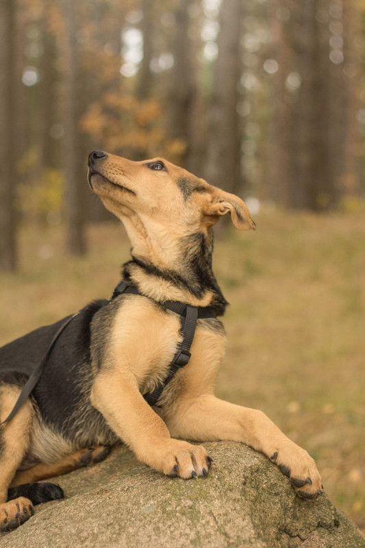 изображение_viber_2022-01-10_11-25-29-210