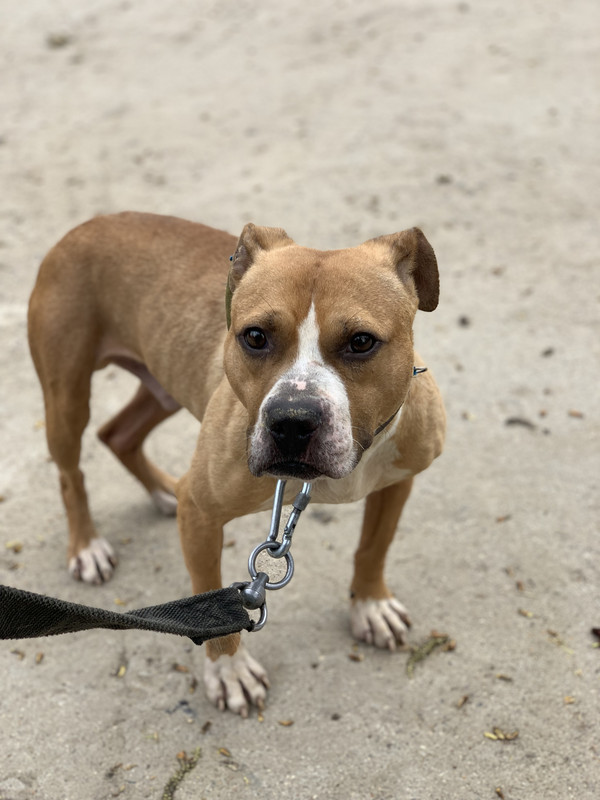 F4220C51-0F62-4614-BC58-783733395BA7