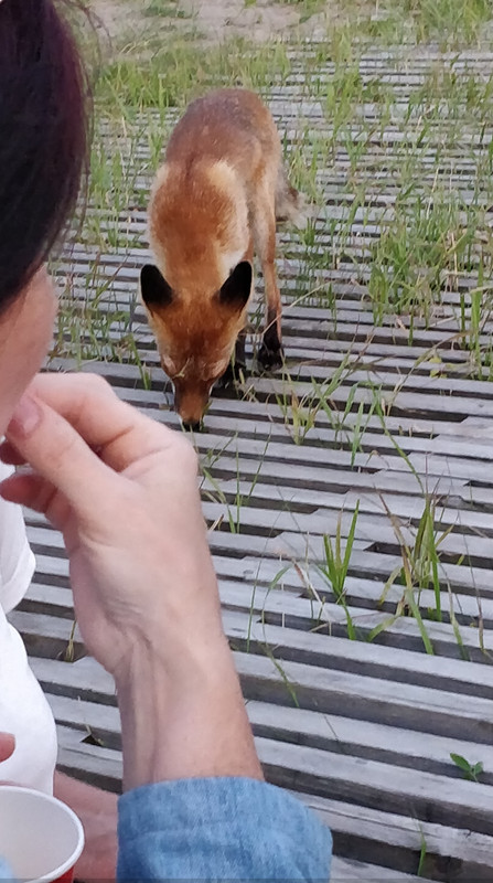 Screenshot_20221106-204037