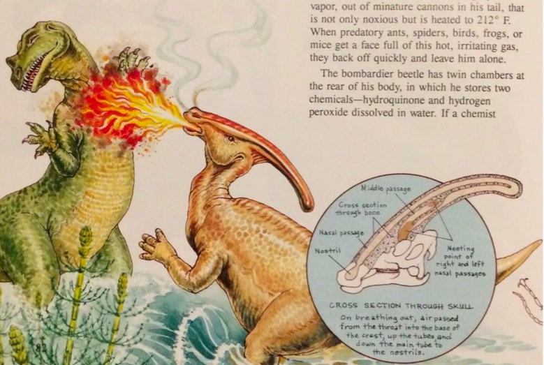 Parasaurolophus roasting an unlucky Ceratosaurus from the book Dinosaurs by designs it's only slightly less absurd than that on photo of the Tyrannosaurus shooting lighting out of it's hands.