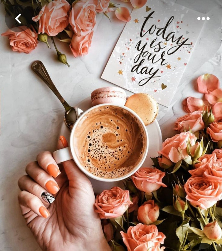 Screenshot_20240529_234614_Pinterest