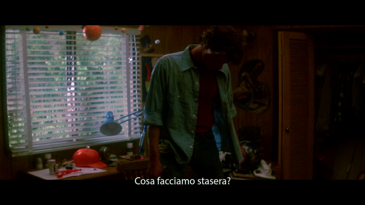 vlcsnap-2022-07-01-16h02m38s505