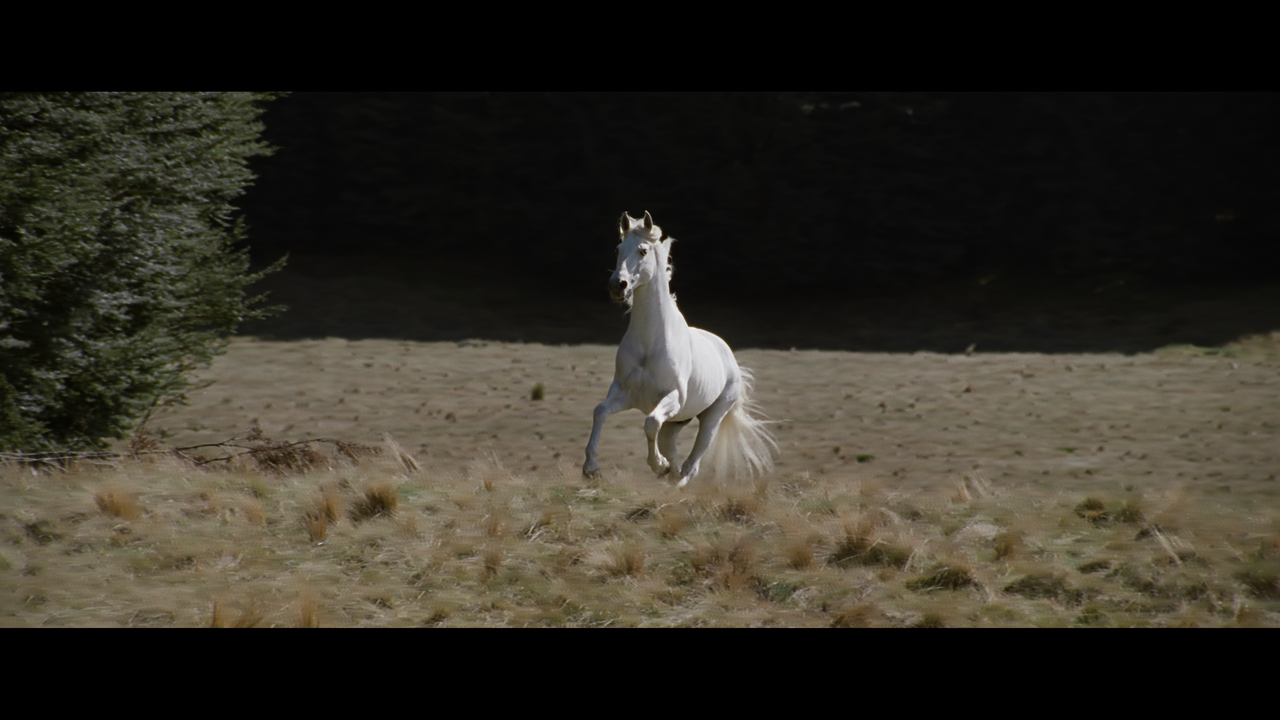 The Lord of the Rings- The Two Towers (EXT.) PT. 1.mkv_snapshot_00.57.26_[2020.12.08_18.04.06]