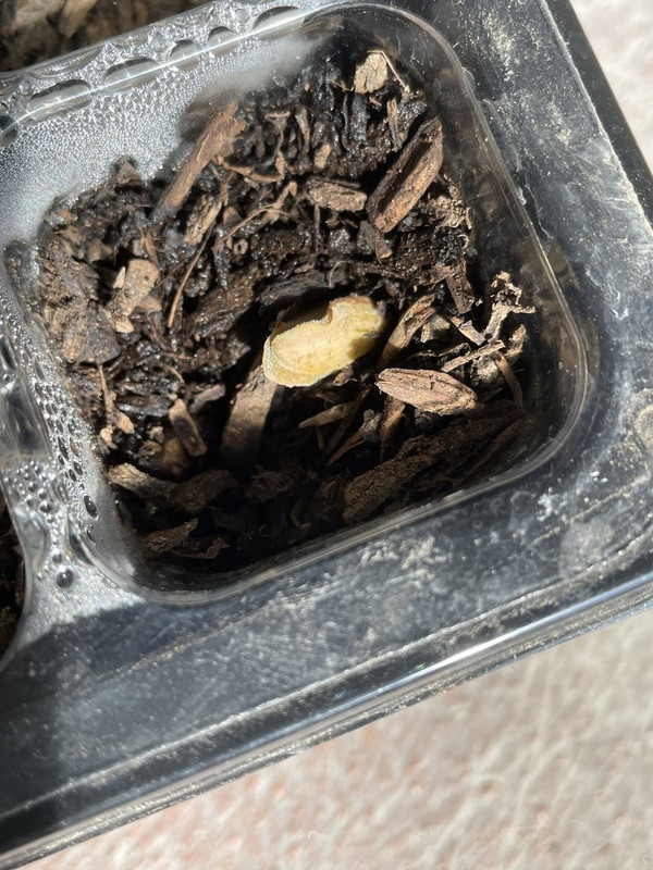 F908851F-86EC-4E44-920A-427B55F06716