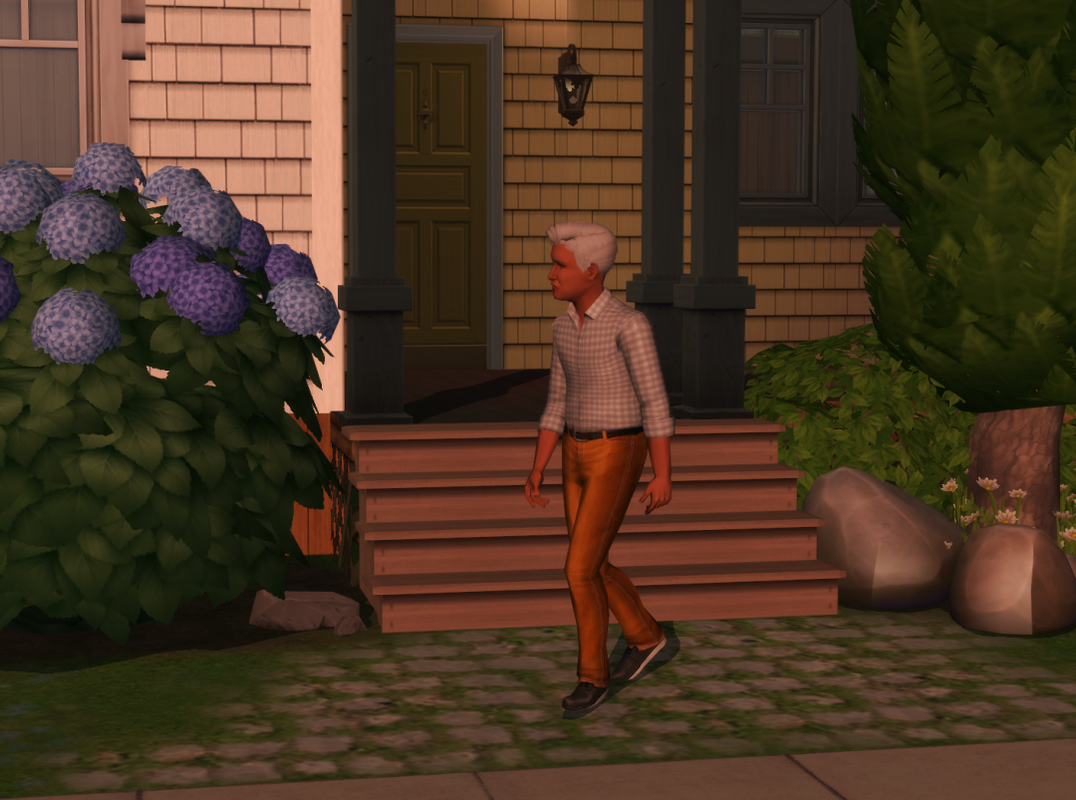 Sims2-EP9-RPC-2024-03-09-17-00-15-04