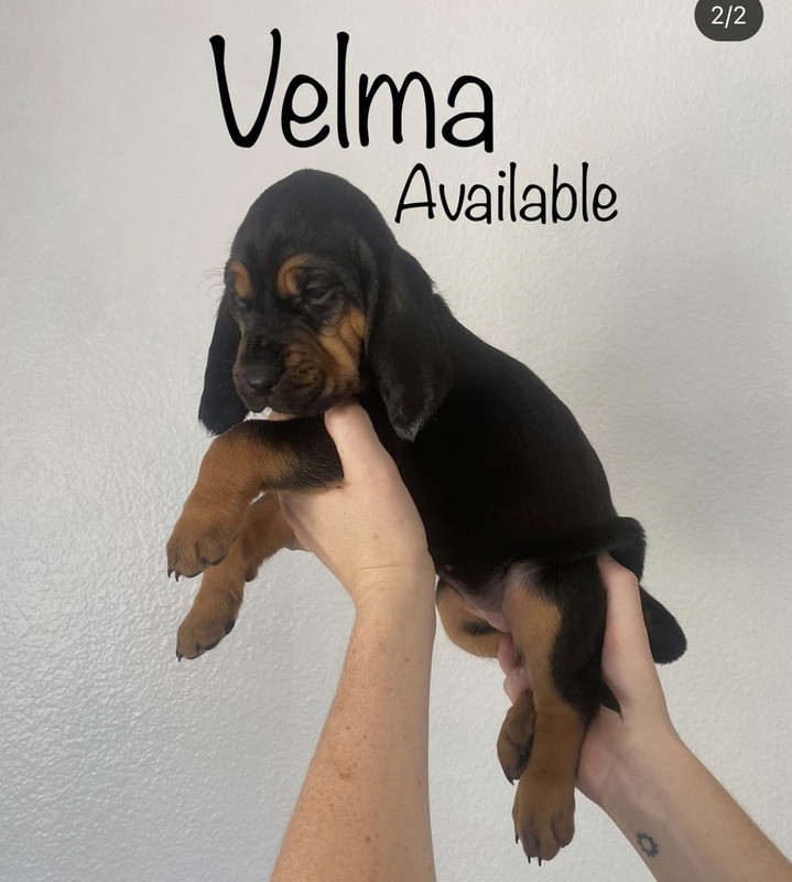 3D9FCBD7-83EA-4AF9-9727-D54236244FE8