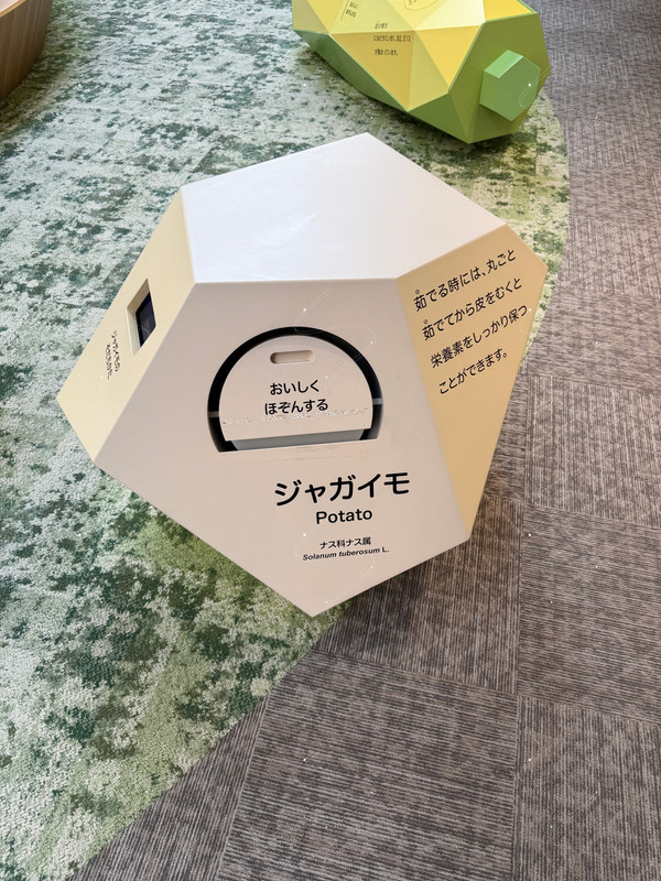 2025 10 27 13 08 IMG 8201