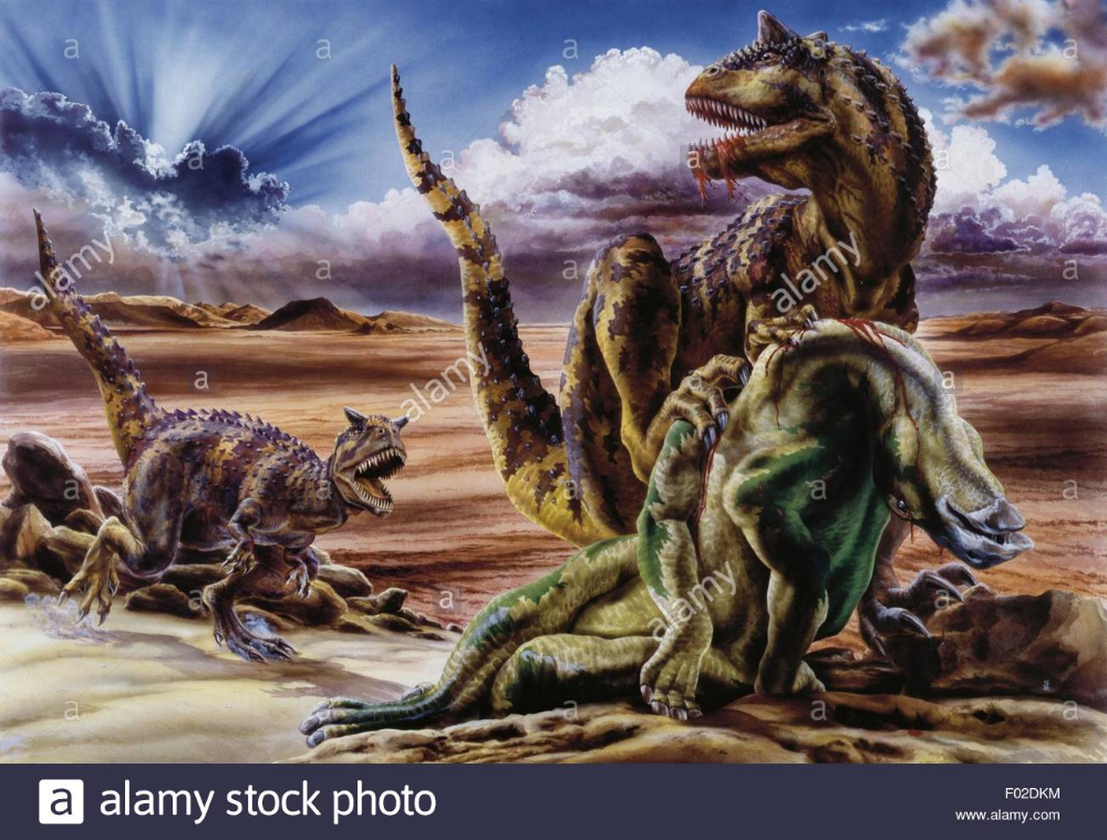 09b0c0bff97af1ac13c2baad6faa3977