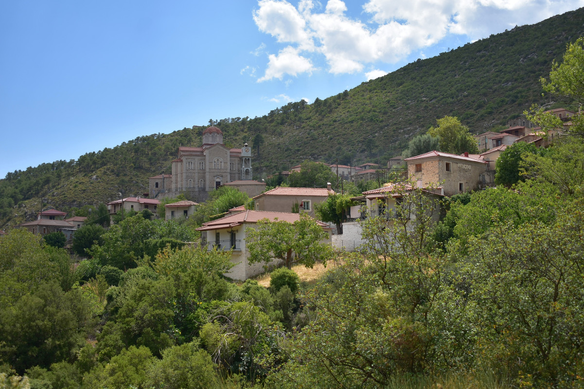 Αγριάνοι (16)