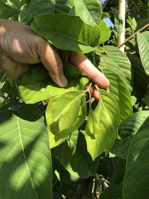 ECA9D16D-1259-4196-983D-5D9DF442C2A6