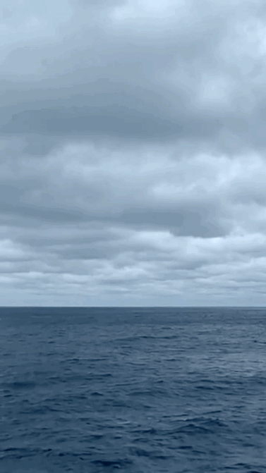 30B19636-77A1-40A5-A037-235210F5649B.gif