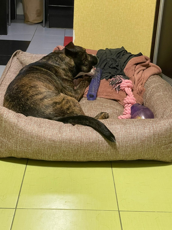 3F740022-FB2C-4658-AE06-DE90B9981C2B