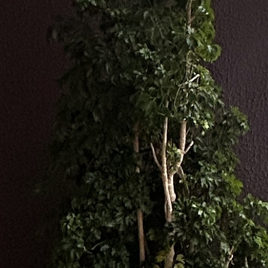 Descrição da imagem