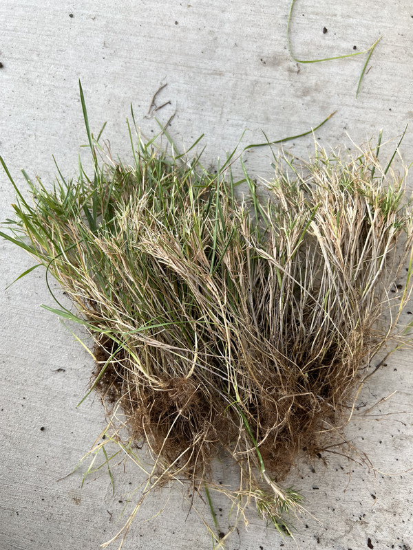 0EF8E213-9539-4739-BFEA-982CC38B7037