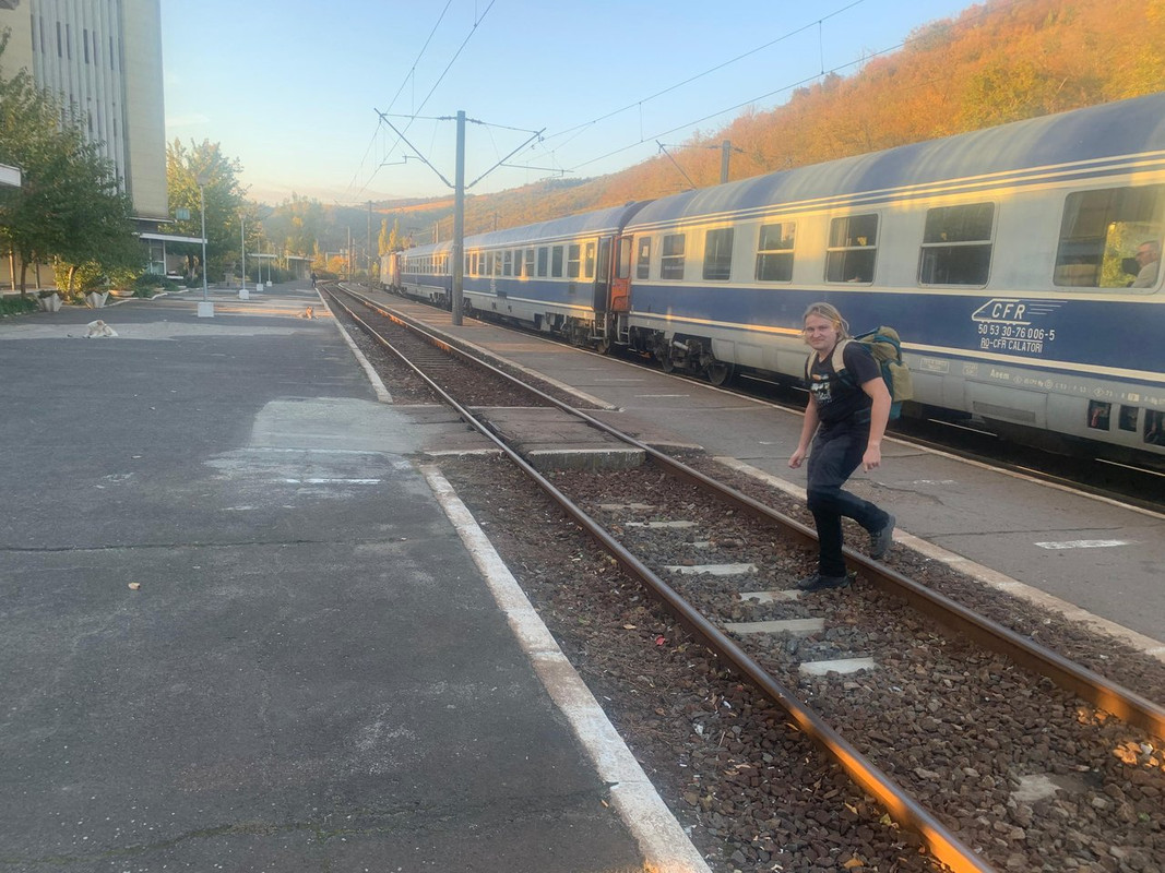 WhatsApp Image 2024-11-16 at 16.14.53