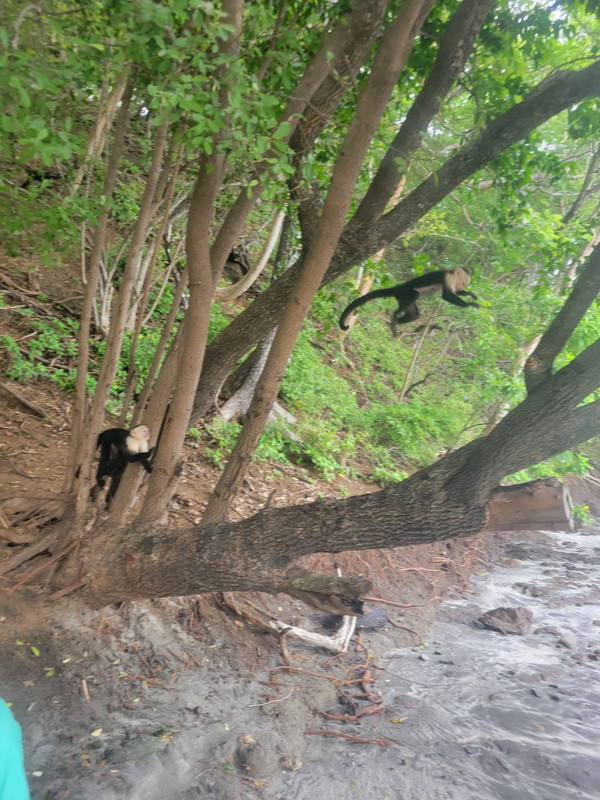 274348FB-119A-4D4E-AB99-9DA813421938