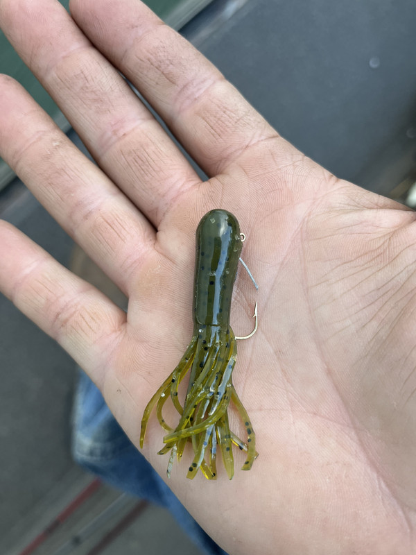 What is the best way to rig a tube weedlessly? - Fishing Tackle - Bass  Fishing Forums