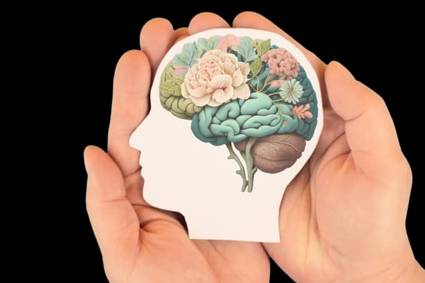 Brain held in hands