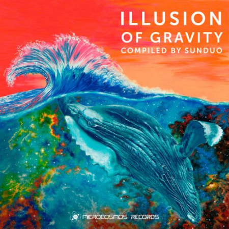 4afd3c33 0820 4ab2 916f 9c40e9c7b17f - VA - Illusion Of Gravity (2021)