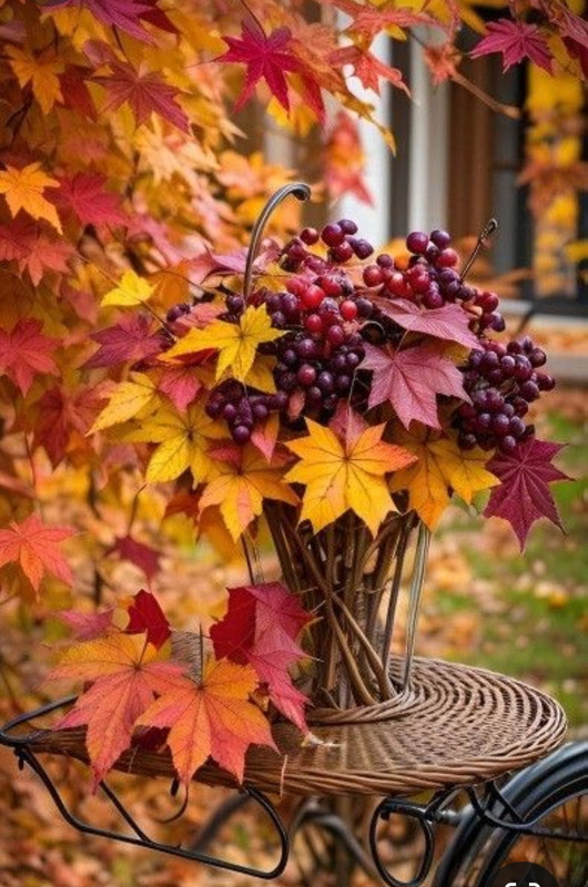 Screenshot_20231117_203321_Pinterest